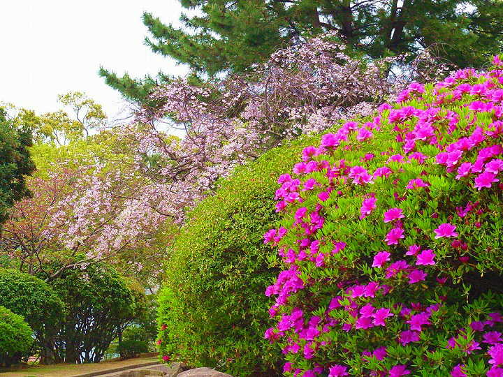 長崎　平和公園 写真